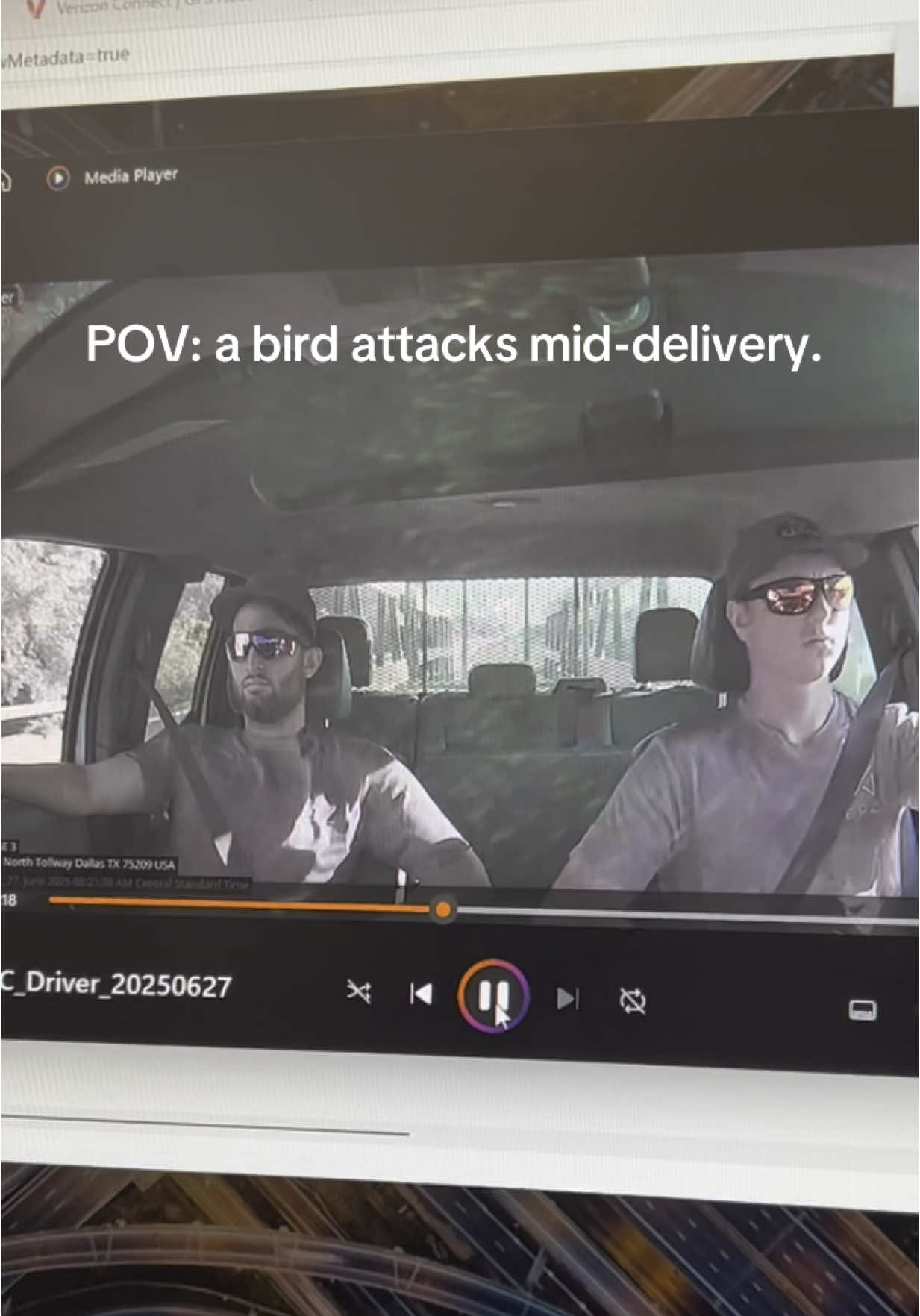 Bird vs. Merge delivery: Both the driver and your windows & doors came out undefeated! 🦅😎 We protect your products no matter what hits us — literally.  #MergeDelivers #WindowProtection #DeliveryFails #KeepItSafe #Funny #MergeWindowsAndDoors 