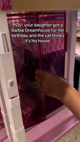 It’s Malcolm’s world and we all just live in it 🤣 #catsoftiktok #cattok #catmom 
