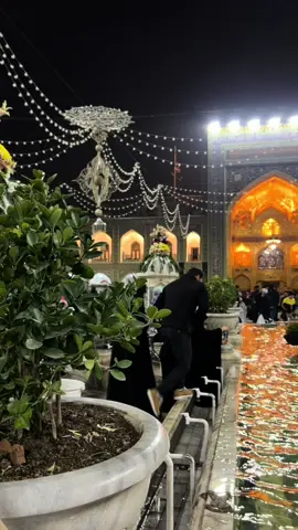 السلام عليك يا غريب طوس…    #الامام_الرضا_عليه_السلام #غريب_طوس #shia #fyp #foryoupage 