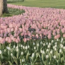 🗿🎀#ورود#جمال#محمد_الجنامي#الشعب_الصيني_ماله_حل😂😂 #exploreاكسبلورررر