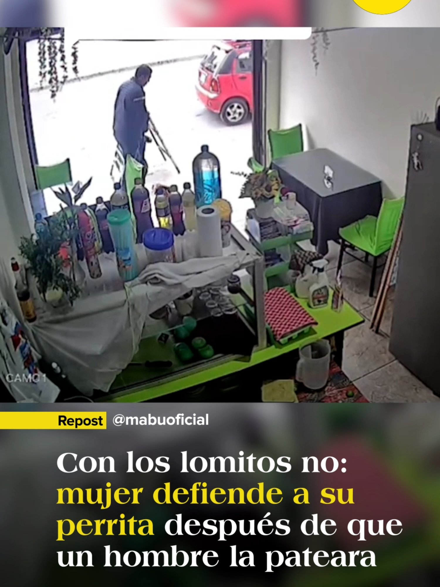 En Perú, un hombre pateó a una perrita que descansaba en un negocio. Su dueña, Milagros, no lo pensó: tomó una cubeta y le dio un golpe en la cabeza. El agresor, junto a su hijo, se fue sin decir palabra. ¿Tú habrías hecho lo mismo? #Perú #Lomitos #NoAlMaltratoAnimal #JusticiaAnimal