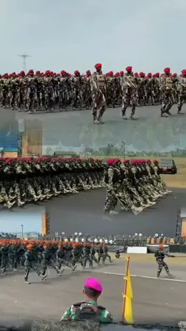 Komando. Kopasgar Marinir #tni #tniad #tnial #tniau #fyp #videofyp 