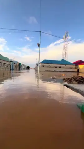 #foryoupage #foryou #hargeisa_somaliland💚🌨❤️ #hargeisa city #CapCut #somalilndrs❤️🤍💚💯💯💯💯 @Koofi🧢 