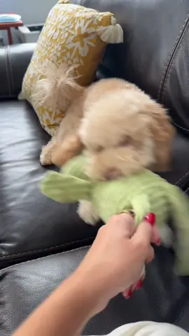 he’s in the teething faze so he bites literally everything but how can you say no to the face 🥹 