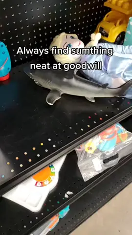 there's always something neat at goodwill #shark #goodwill #goodwillfinds #thrift #wtf 