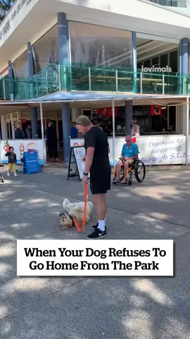 What a stubborn pup 😂