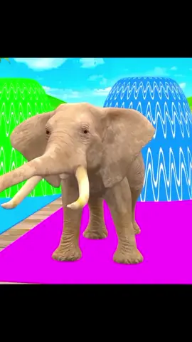 Long Slide Animals Game #longslidegame #longslide #3dcartoon #3danimal #viral #fyp #foryou 