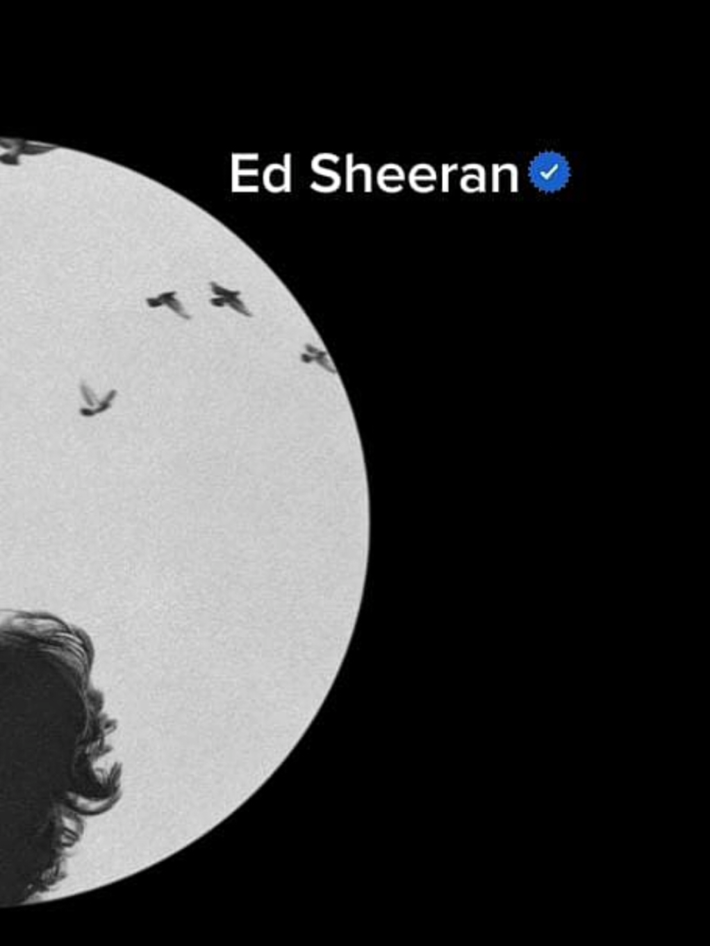 A Litlle More #edsheeran #alittlemore #loveyou #lyrics #fyp #riverasong 