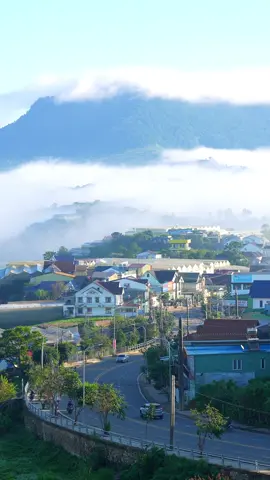 View ngắm con đường dưới mây @Tiệm cà phê Tavi ☕️☁️