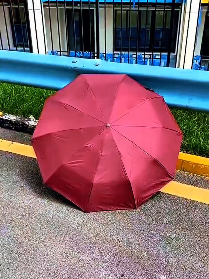 Guarda-Chuva Automático Reforçado - Proteção Contra Chuva e Raios UV