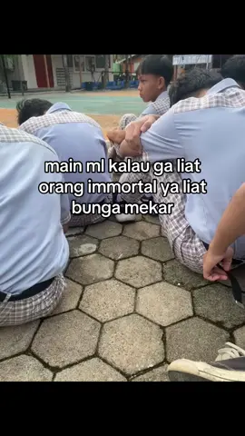 #bungamekar #mobilelegends #mlbbcreatorcamp 