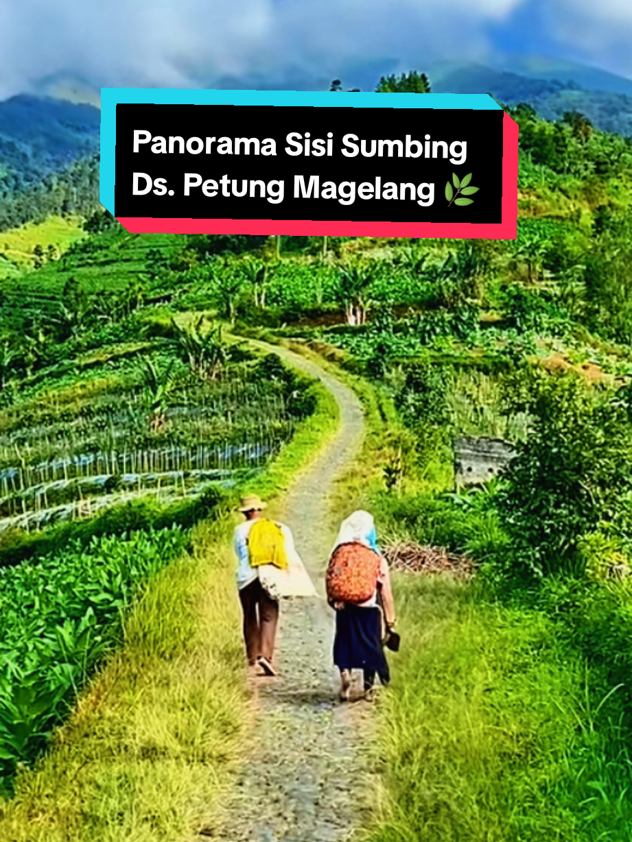 Suasana pagi lereng gunung sumbing magelang🌿 ❤😍#sisisumbing #gunungsumbing #magelangexplore #lagujawa #padahariini 