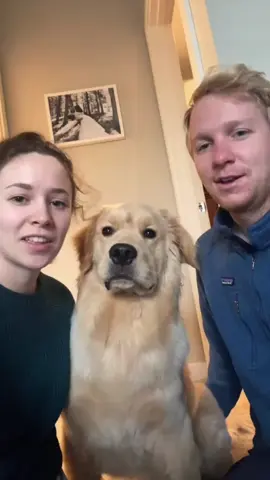 Bark at your dog and see how he reacts#dog #funny #pets #fyp #cute #happy #funny videos😂 #animals #dogsoftiktok 