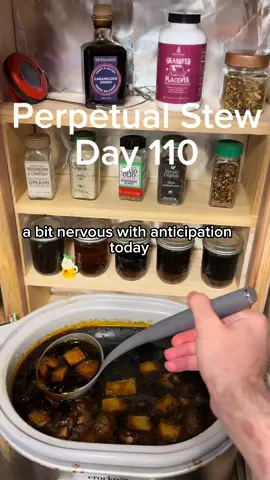 Found the topping in person before TikTok suggested that I add the link. I’ll be honest about how it tastes next video, please do not feel any pressure to purchase from me. #perpetualstew #stew #soup #FoodTok #lazycooking 