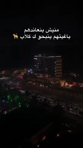 #CapCut #fyn #fyp #viral_video #شعب_الصيني_ماله_حل😂😂 #paratiiiiiiiiiiiiiiiiiiiiiiiiiiiiiii #LearnOnTikTok #fouryou #oran 