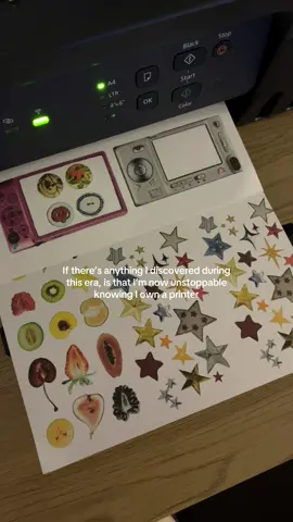 Me and my printer against the world 🤝 #journaling #scrapbooking #scrapbook #hacks 