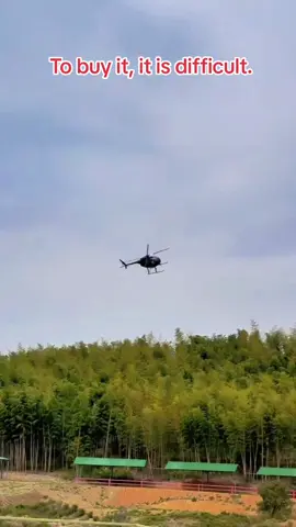 How do you rate this pilot?#helicopter #helicoptermini #helicopterflight #aviation #fly 