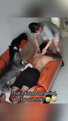 I want to raise a husky #dog #dogsoftiktok #funnydog #fyp #pet #funnyanimals #funnyvideos 