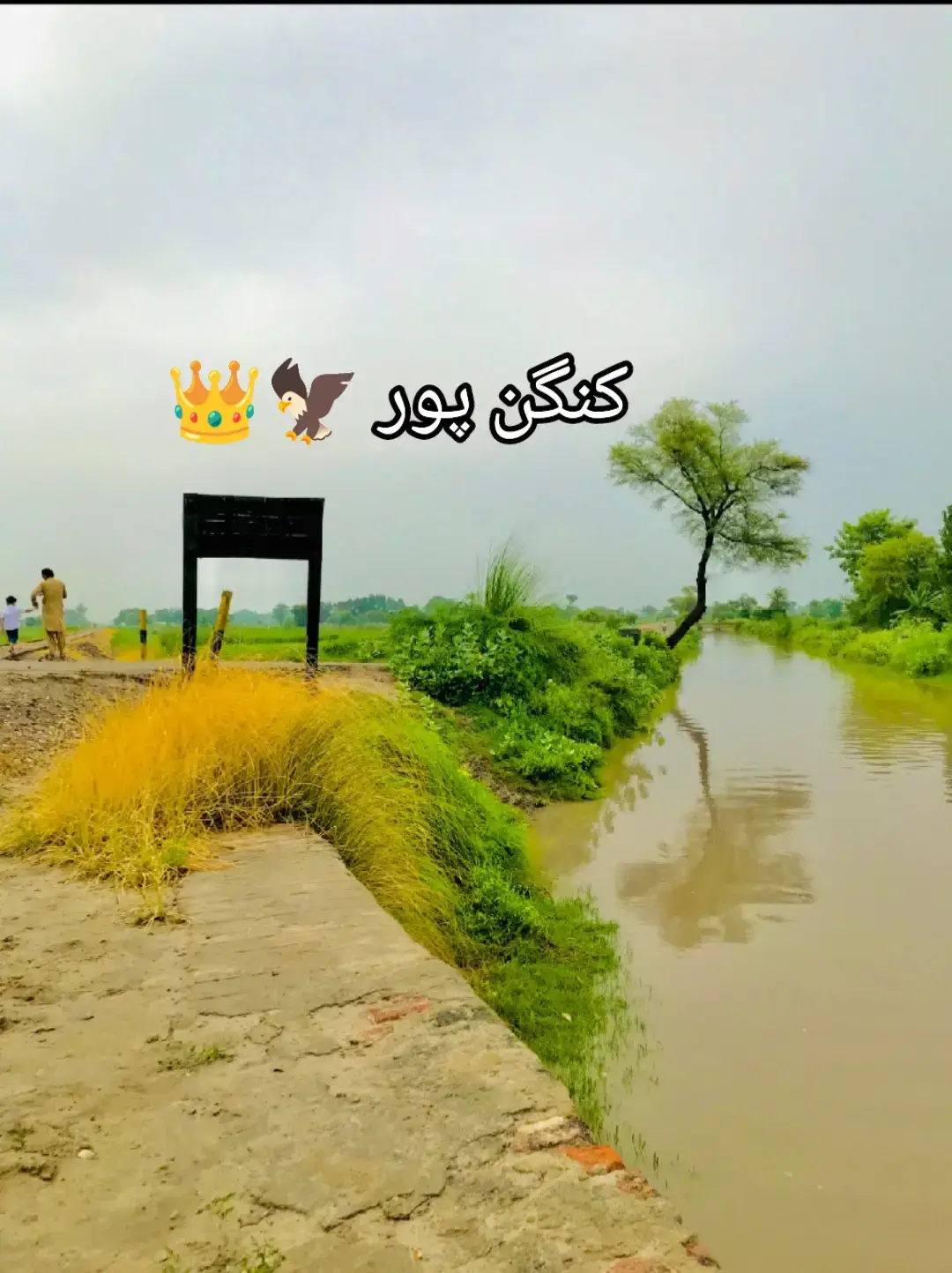 کنگن پور👑😎#tiktokgrowth #trendingtiktok #trendingtiktok 
