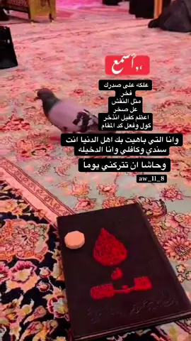 بأمانة ابا الفضل اني وزوجي واحباب قلبي 🫂🩷🧿 #تصويري📷 🫴 #يوميات  #طائيه🐆💫  🧿 #بغداديه 🚩