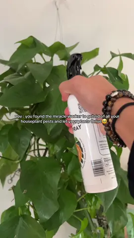 ALL the plant lovers need this 🥹⬆️