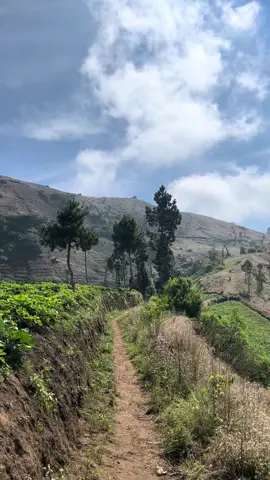 Secantik itu✨ #slametviasawangan #gunungslamet3428mdpl #pendaki 