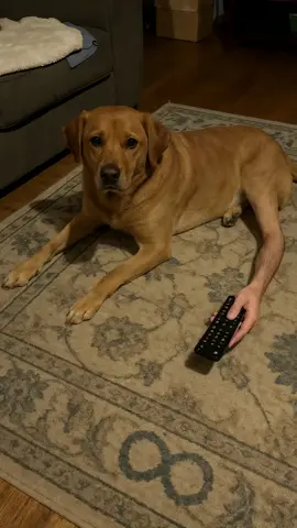Hand over the remote #aiartwork