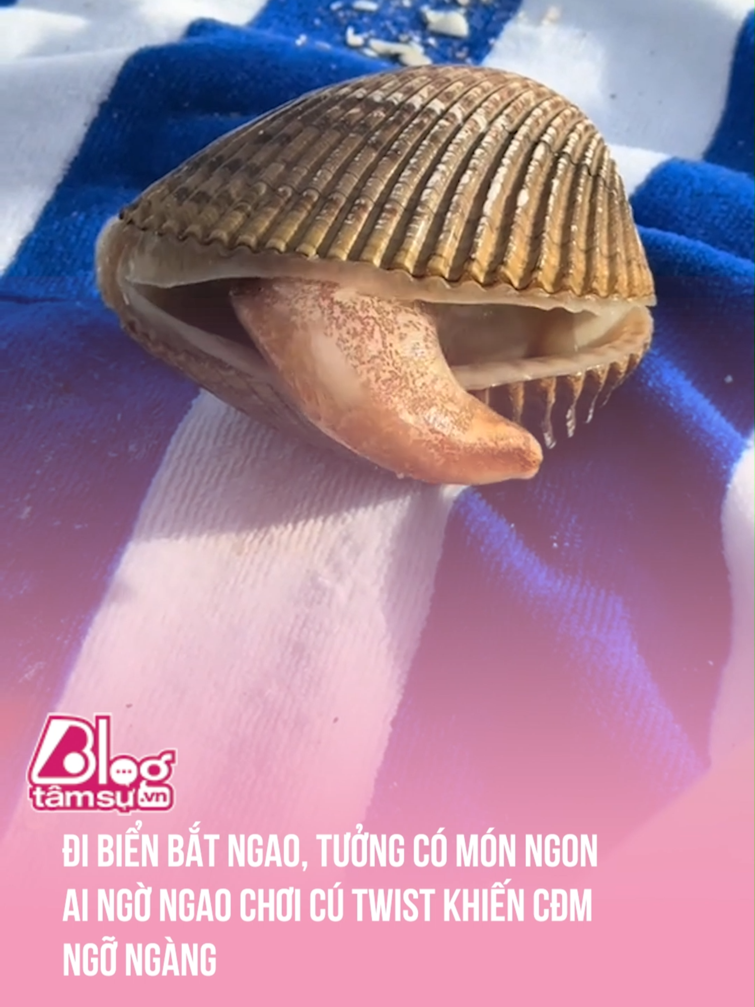Hành động phán xét 😅 #tqdshni #btsmedia #blogtamsu #discovery #khampha #video #viral #videoviral #trending #xuhuong #clips #facts #fact #khoanhkhac #explore #exploration #explorer #wow #amazing #sea #ocean