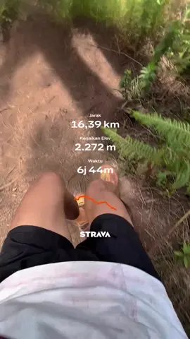 piknik siwur😇#promomakanmerdeka #explore #CapCut #puthuksiwur_1429mdpl #pendakifomo #trailrun #arjuno3339mdpl 