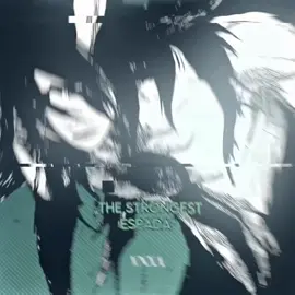 The ranking exists for a reason.  #bleach #edit #starrk #animeedits #ulquiorracifer @matej.bln @luigi🪷 @Fad€ 漢 (Rukia cracker) @𝘔𝘺𝘴𝘵𝘪𝘤 𝘛𝘪𝘮𝘰 @zenbon 
