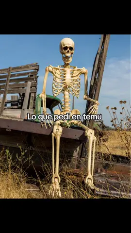 Me siento estafado 🥲🤣#viral #MemeCut #2025 #Temu #halloweenlook #squeleton #fyp #humor 