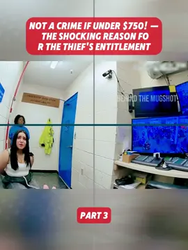Part 3 #bodycamcops #copsoftiktok #policeofficer #fyb 