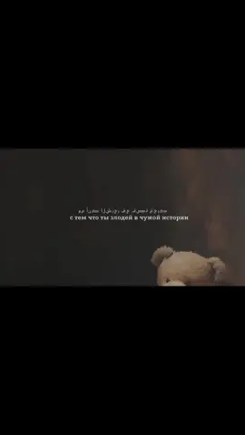 🤍