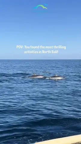 Finally realized that best activities is in North Bali! Don’t missed the canyoning, lovina dolphin, and also the waterfall hopping! DM for more activities. Follow our Tiktok @Exoticparadisebali for more video Keep sharing & tagging your Amazing moment in #Bali with #exoticparadisebali to allow us to share Contact us on Whatsapp at +62 822-6627-3018 to get more info about all activities & accommodations in Bali #seminyak #ubud #canggu #indonesiaparadise #baliindonesia #thebaliguideline #balilife #liburandibali #balivacation #bali#baliindonesia #munduk #eventbali #discoverindonesia #visitindonesia #beautifulindonesia #balindonesia  #balilife #liburandibali #balivacation #bali #ballindonesia #munduk #atv #atvbali #mountbaturjeep #jeep 📹: tt @llichingg @otw_melali @adventureandspirit @exoticparadisebali