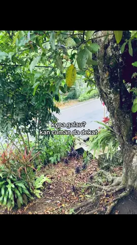 🗿#katakatamanado🌴🌊 #storimanado🔥fyp #manadosadap🔥 #xyzbca 