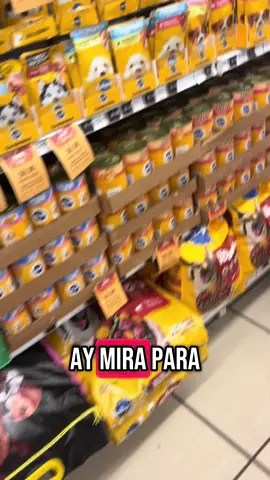 🐕 