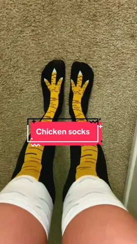 Mis calcetas favoritas!!!!  🐥🐣🐤 #chickensocks #chicken #socks #fyp #fypシ #musthave #gallina #gallinas #calcetas #calcetineslargos #tiktoksocks  #tiktok #moda 