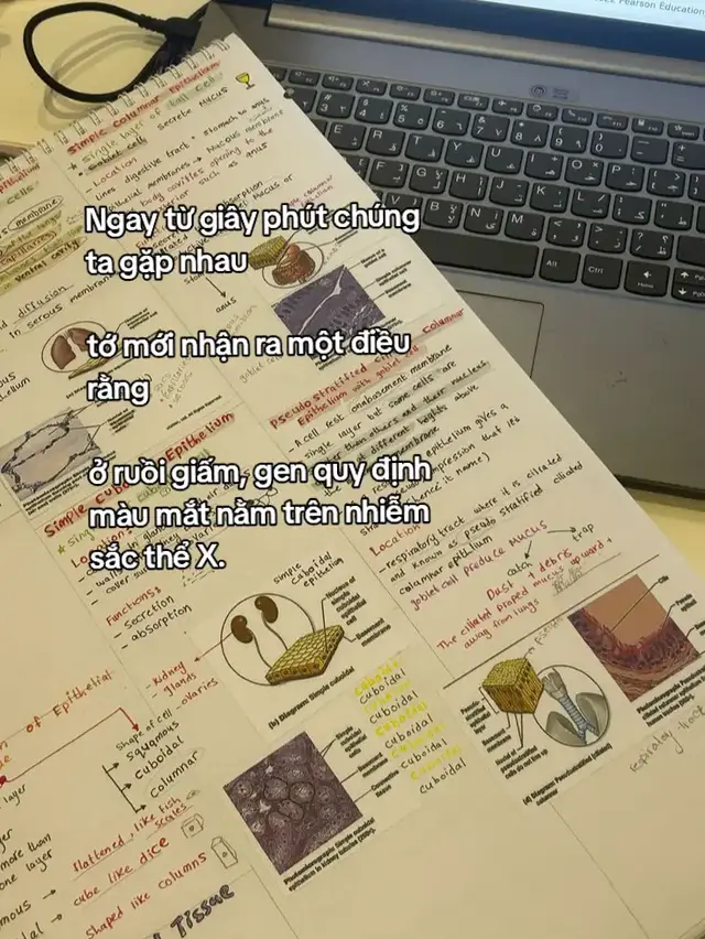 Hóa ra là vậy.... #biology #sinhhoc #jokeoftheday 
