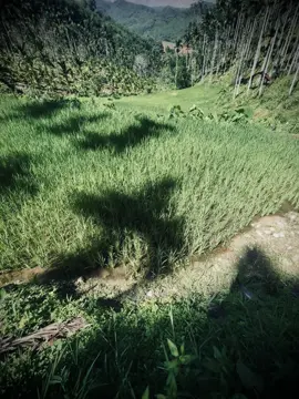 一隻小手遮不住所有的陽光，一小步遮不住每個人的心。 