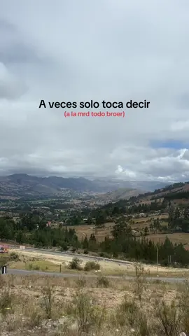 #fyp #zxycba #viral #cachinero #anticuchosstudios 