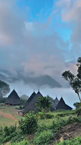 Terima kasih Wae Rebo untuk rasa nyaman dan kenangan luar biasanya🩵🛖🍂🍃semoga kita bertemu lagi✨ #waerebovillage #flores #nttpride🏝🔥 