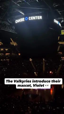 Welcome Violet to the Bay!! #valkyries #bayarea #WNBA #sanfrancisco #goldenstate #raven #mascot 