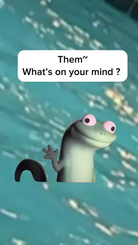 #Meme #MemeCut #lizard #fyp #funny #repeating #lol #onmymind 