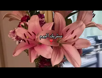 #explore #قران 