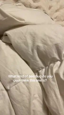 Help me please 🙏🏻🫣 #baby #cutebaby #bedbug 