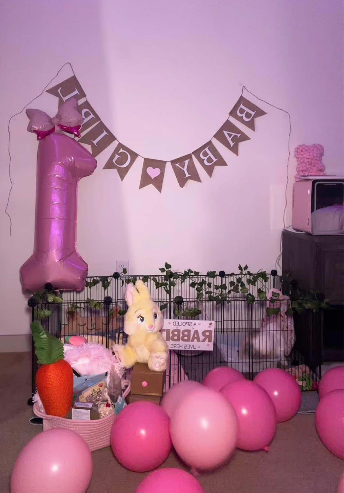 Anything for you princess.. #bunnytok #bunmom #buntok #furbaby #bunniesoftiktok #bunnylove 
