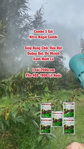 Phân Bón Lá Nitro Magie Combi giúp xanh dày lá, bung chồi kéo đọt #saurieng #nongnghiep #xuhuongtiktok 