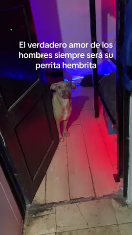Ignoremos mi casa sucia 😂
