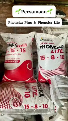 Phonska plus dan phonska lite ready di kios PUSPITA MAKMUR. Allahumma bariik #petaniindonesia🇮🇩🇮🇩🇮🇩🌿🌿 #puspitamakmur #tiktokindopertanian #tokopertanian #tokoobatdanpertanian 