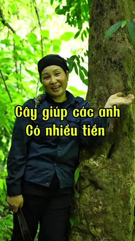 Loại cây giúp các anh nam giới có nhiều tiền để đi chợ. ##thaoduoc##thaoduocdantoccaolan ##thaoduocdantoc ##trandungthaoduocdantoc ##LearnOnTikTok